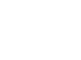 Dino - logo branco - 270x200